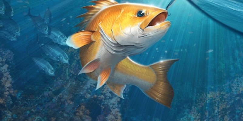 Khi tham gia bắn cá rồng 68WIN cần nắm rõ các kỹ thuật chơi cơ bản